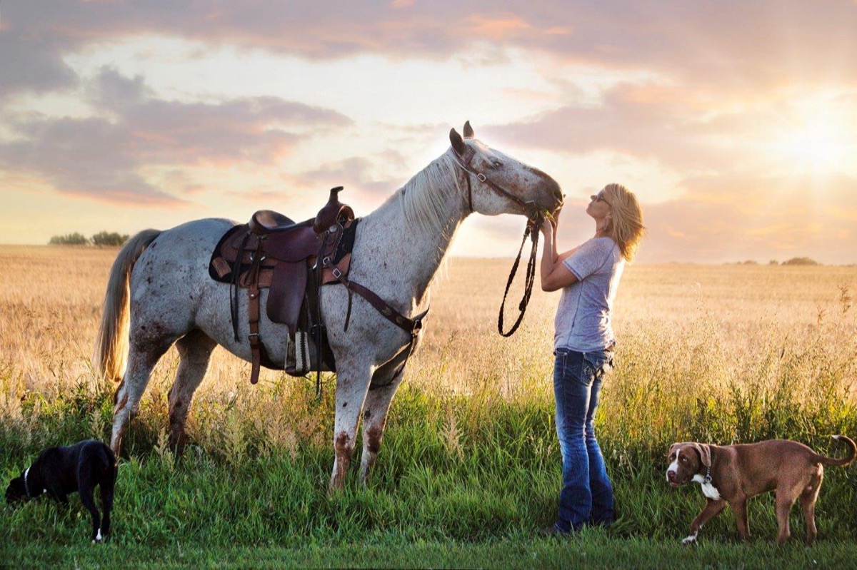 Horses and Riders photograph 6 by Shauna Kenworthy