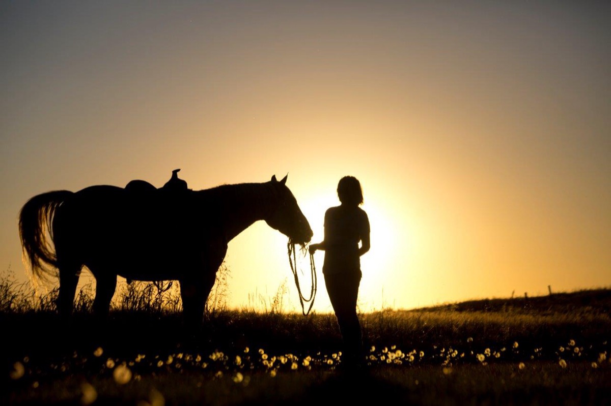 Horses and Riders photograph 7 by Shauna Kenworthy