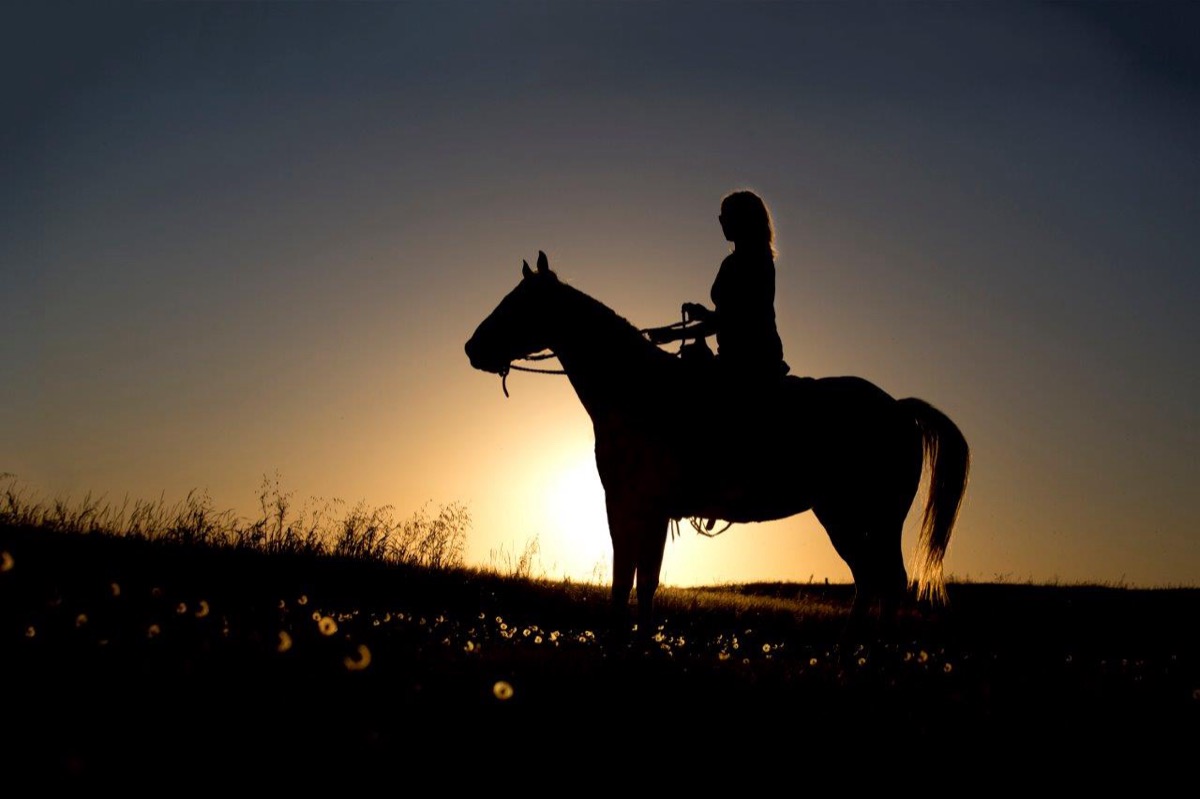 Horses and Riders photograph 8 by Shauna Kenworthy