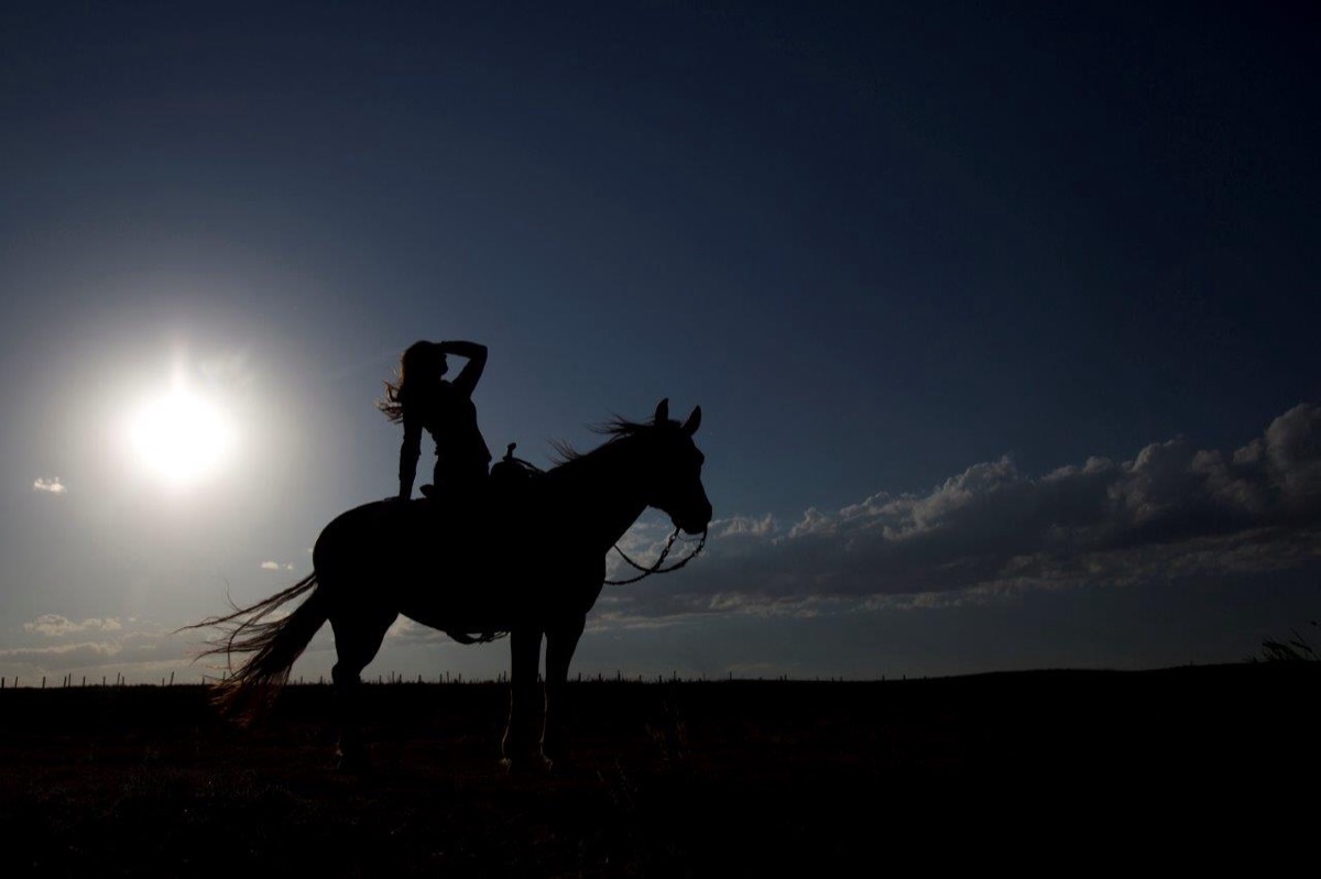 Horses and Riders photograph 14 by Shauna Kenworthy