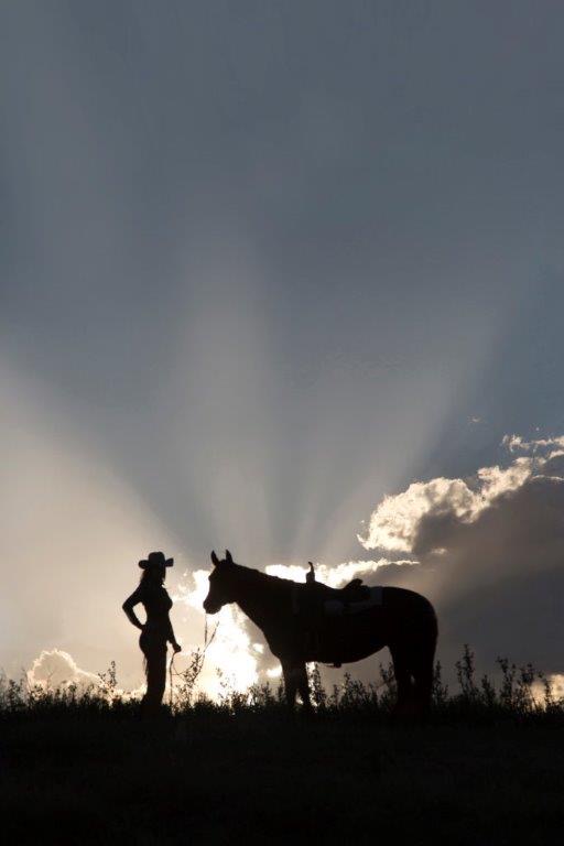 Horses and Riders photograph 15 by Shauna Kenworthy