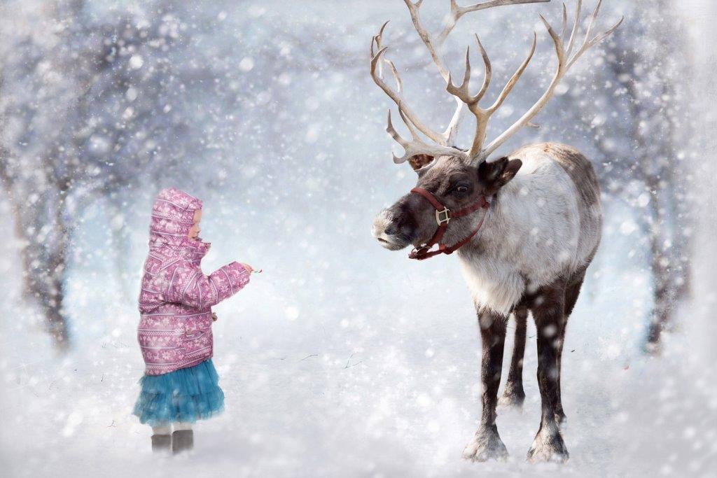 Little Kids photograph 29 by Shauna Kenworthy