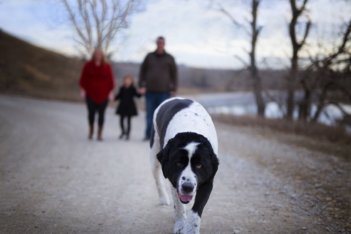 Families photograph 35 by Shauna Kenworthy