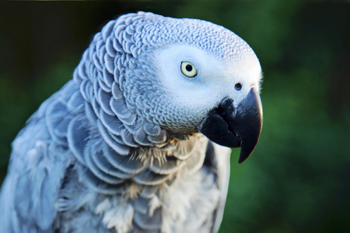 Pets photograph 7 by Shauna Kenworthy