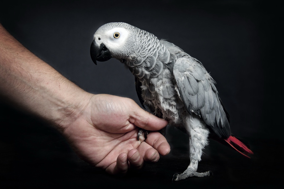 Pets photograph 8 by Shauna Kenworthy