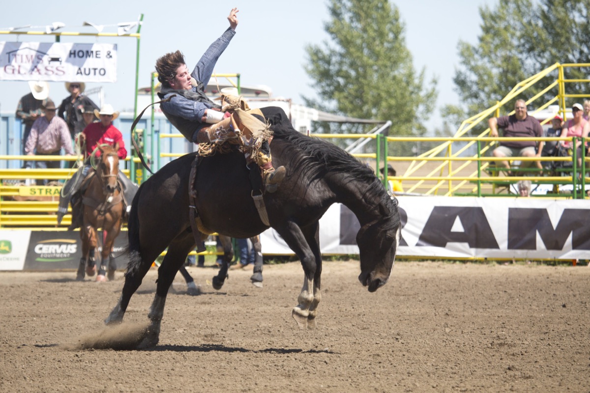Rodeo photograph 1 by Shauna Kenworthy