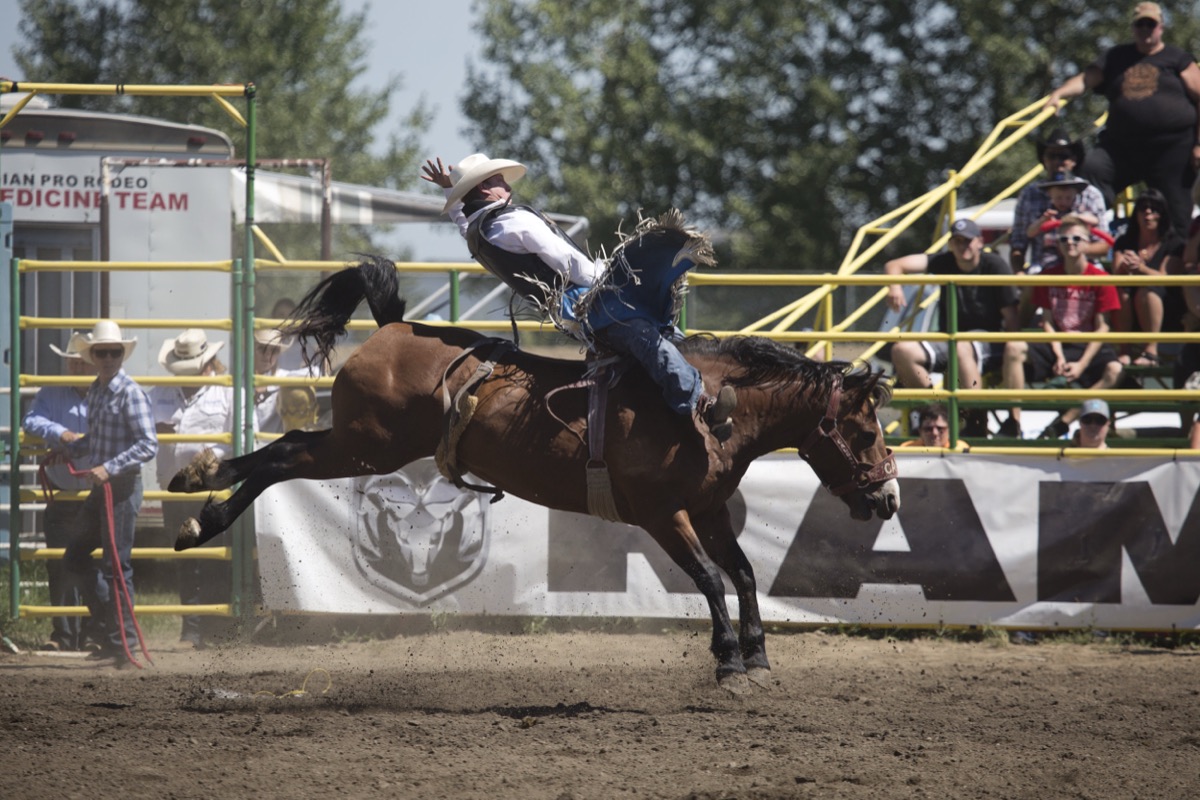 Rodeo photograph 2 by Shauna Kenworthy