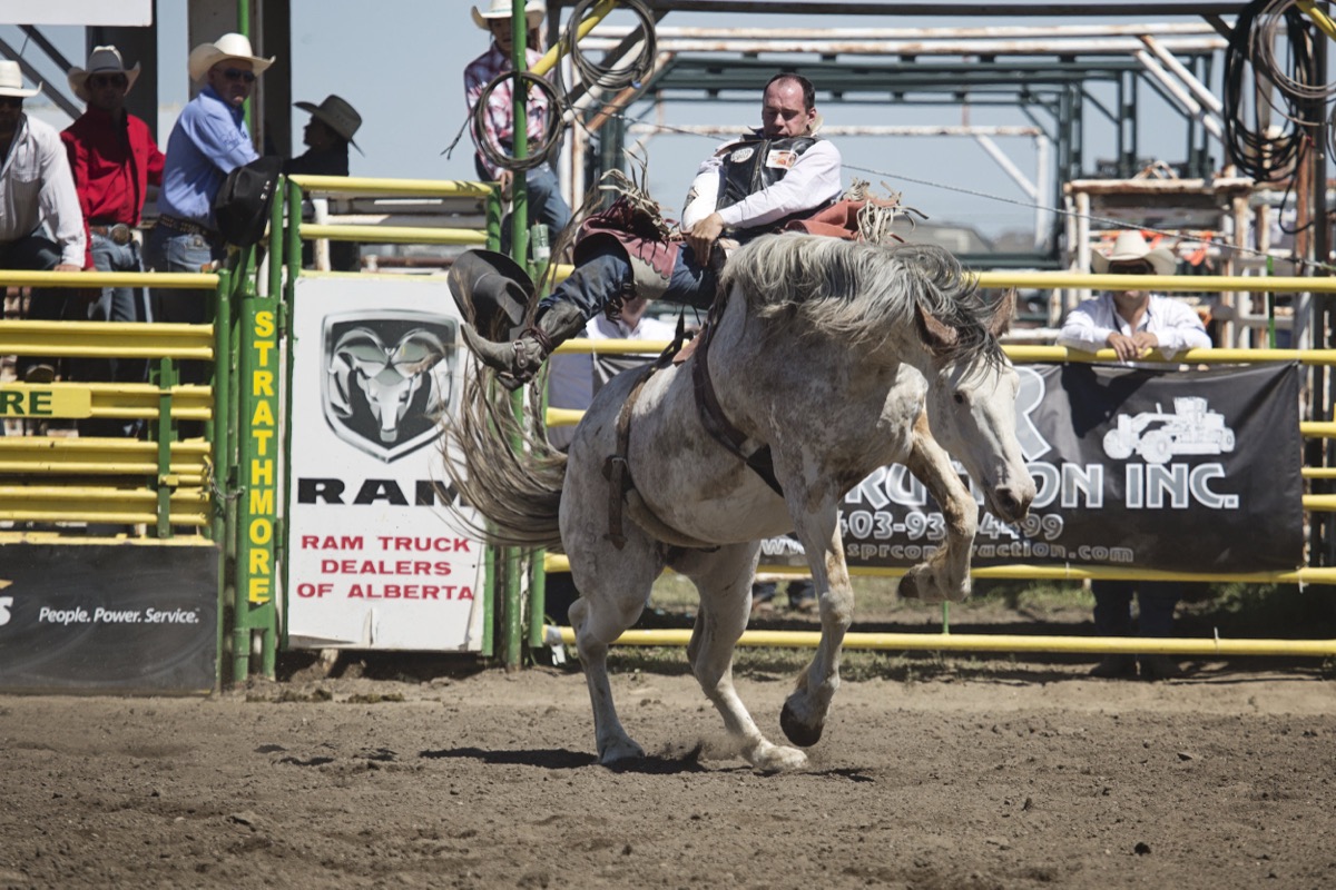 Rodeo photograph 3 by Shauna Kenworthy