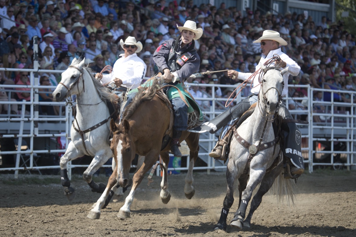 Rodeo photograph 4 by Shauna Kenworthy