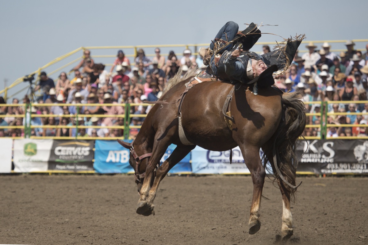 Rodeo photograph 5 by Shauna Kenworthy