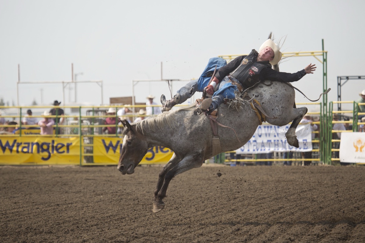 Rodeo photograph 6 by Shauna Kenworthy