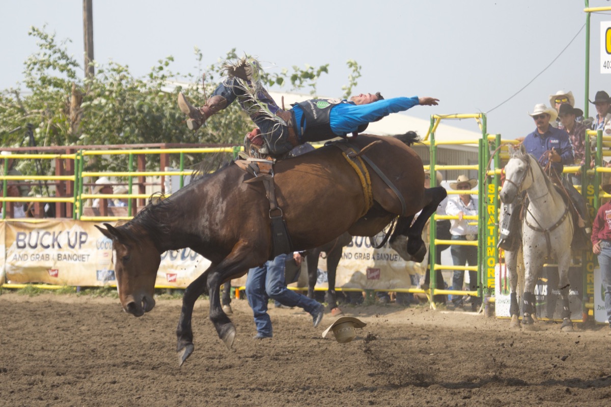 Rodeo photograph 7 by Shauna Kenworthy