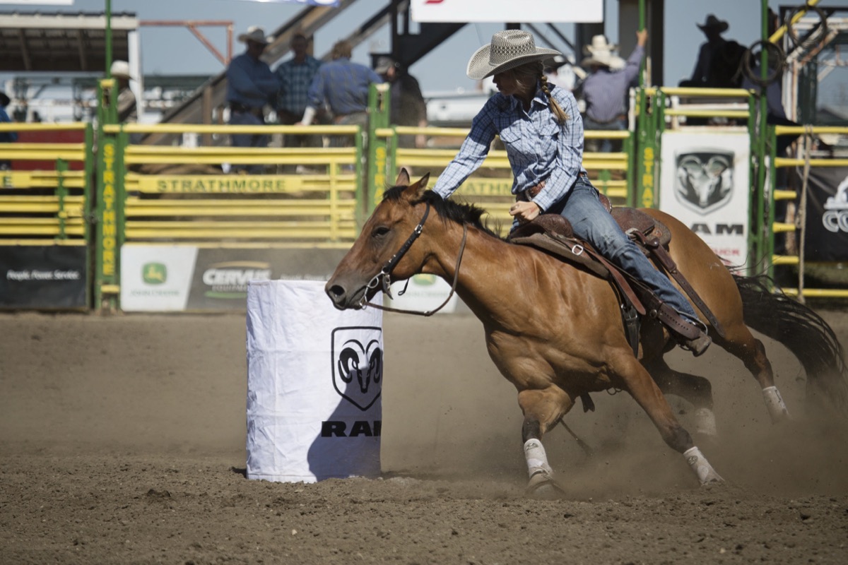 Rodeo photograph 11 by Shauna Kenworthy