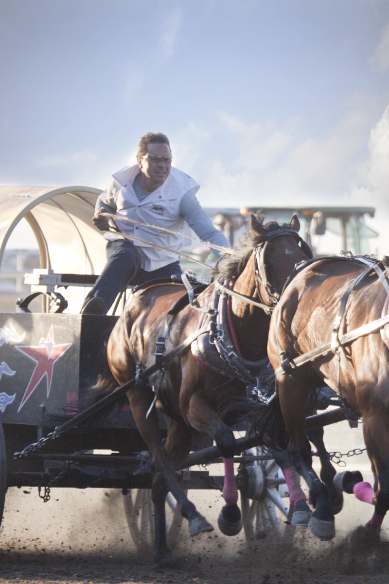 Rodeo photograph 12 by Shauna Kenworthy