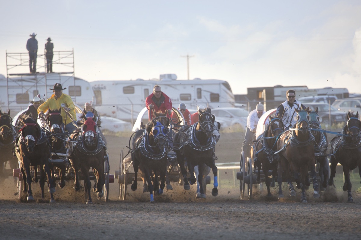 Rodeo photograph 14 by Shauna Kenworthy