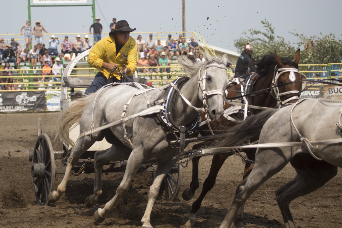 Rodeo photograph 15 by Shauna Kenworthy
