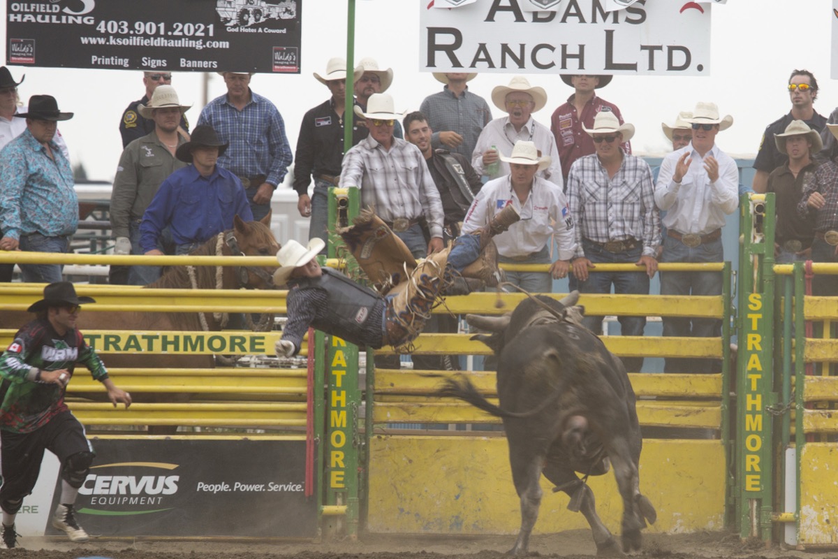 Rodeo photograph 16 by Shauna Kenworthy