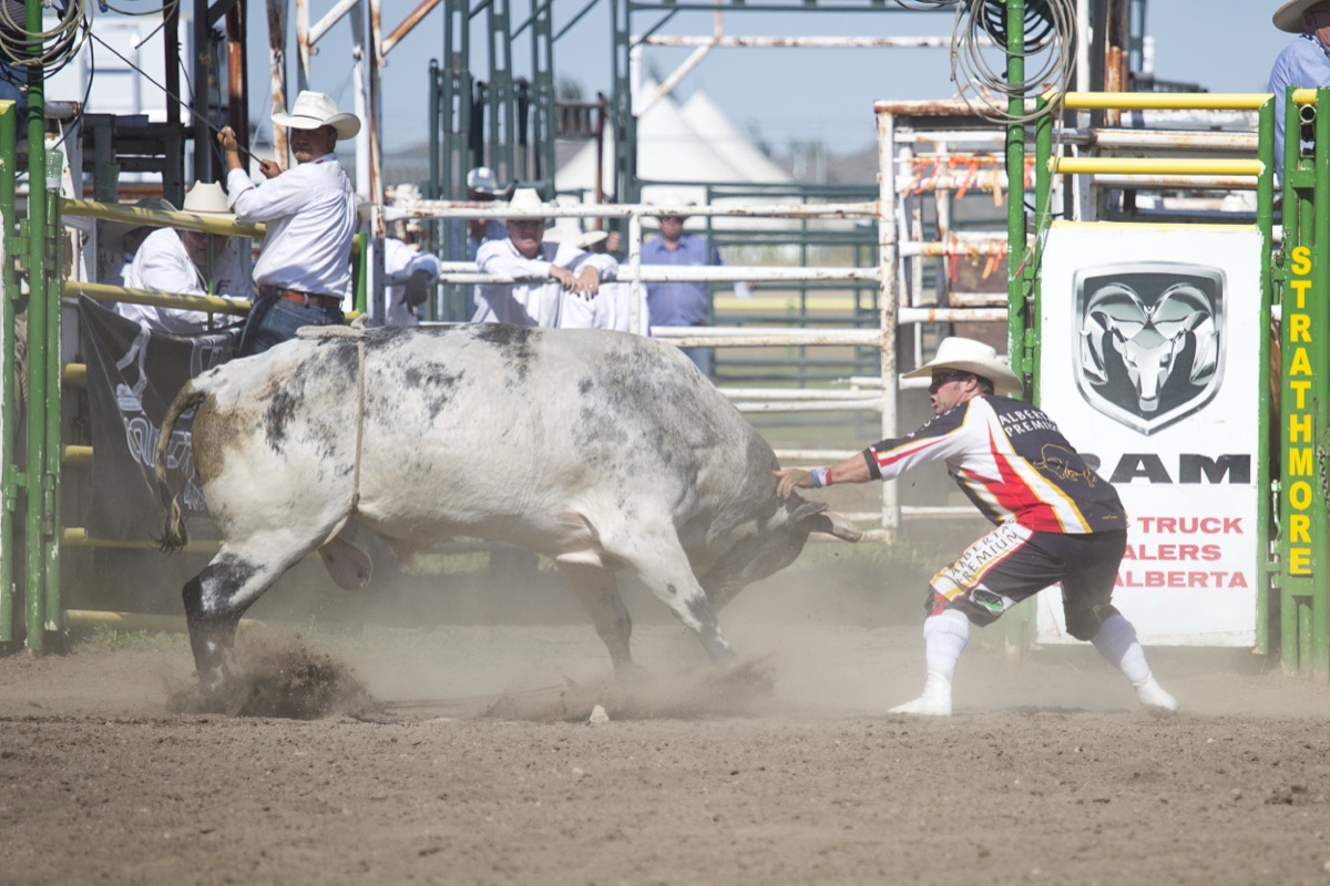 Rodeo photograph 17 by Shauna Kenworthy