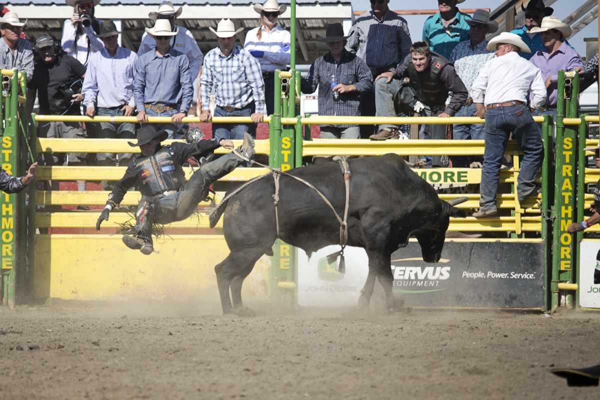 Rodeo photograph 18 by Shauna Kenworthy