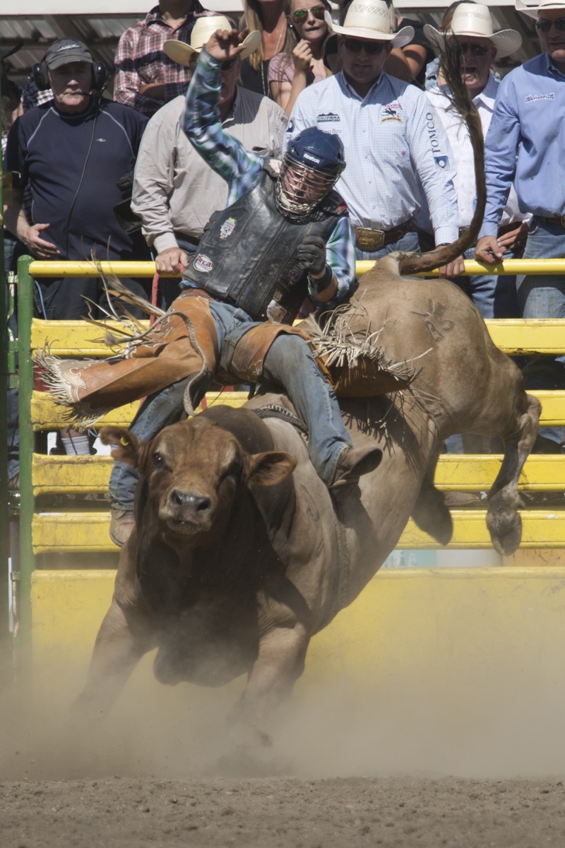 Rodeo photograph 19 by Shauna Kenworthy