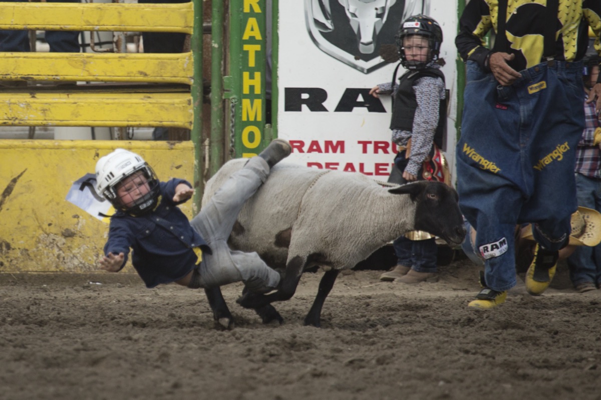 Rodeo photograph 20 by Shauna Kenworthy