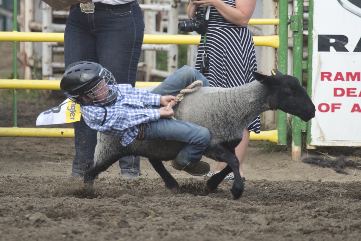 Rodeo photograph 21 by Shauna Kenworthy