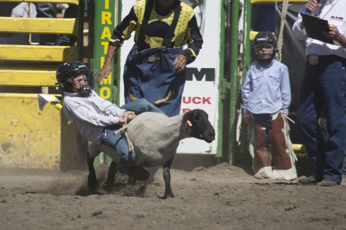 Rodeo photograph 22 by Shauna Kenworthy