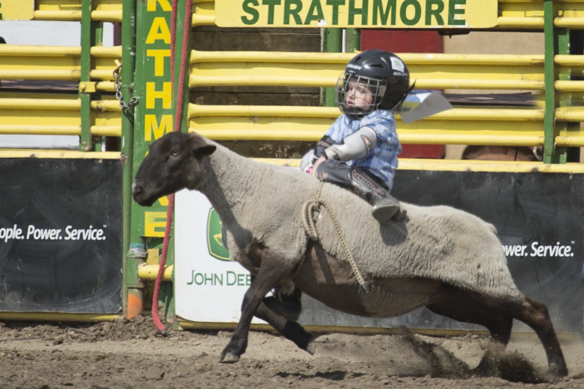 Rodeo photograph 24 by Shauna Kenworthy