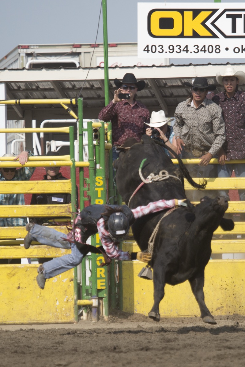 Rodeo photograph 31 by Shauna Kenworthy