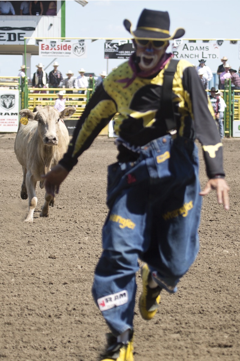 Rodeo photograph 35 by Shauna Kenworthy