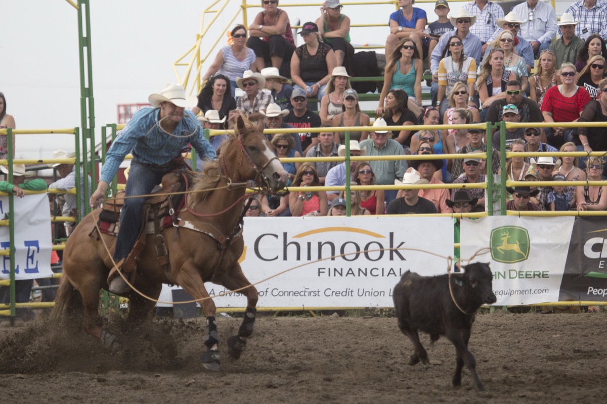 Rodeo photograph 36 by Shauna Kenworthy