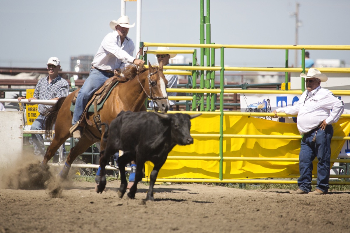 Rodeo photograph 37 by Shauna Kenworthy