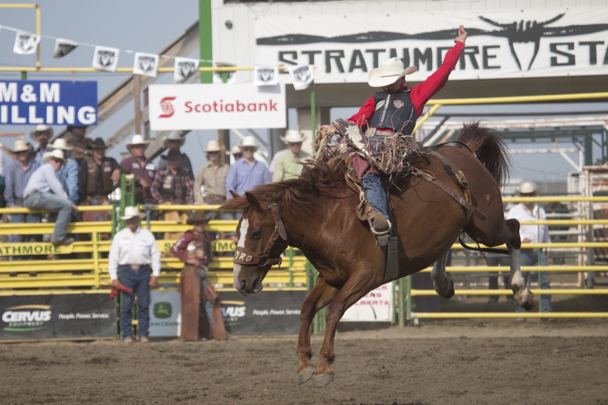 Rodeo photograph 39 by Shauna Kenworthy