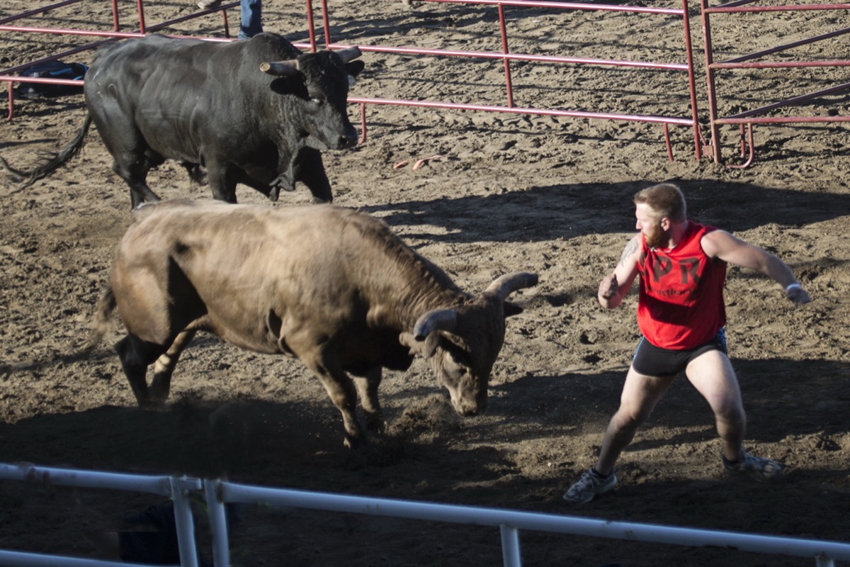 Rodeo photograph 40 by Shauna Kenworthy
