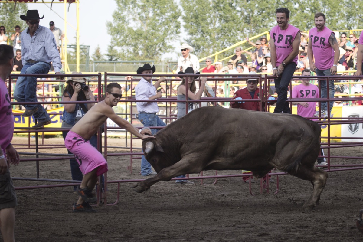 Rodeo photograph 42 by Shauna Kenworthy
