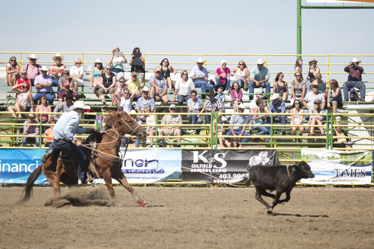 Rodeo photograph 43 by Shauna Kenworthy