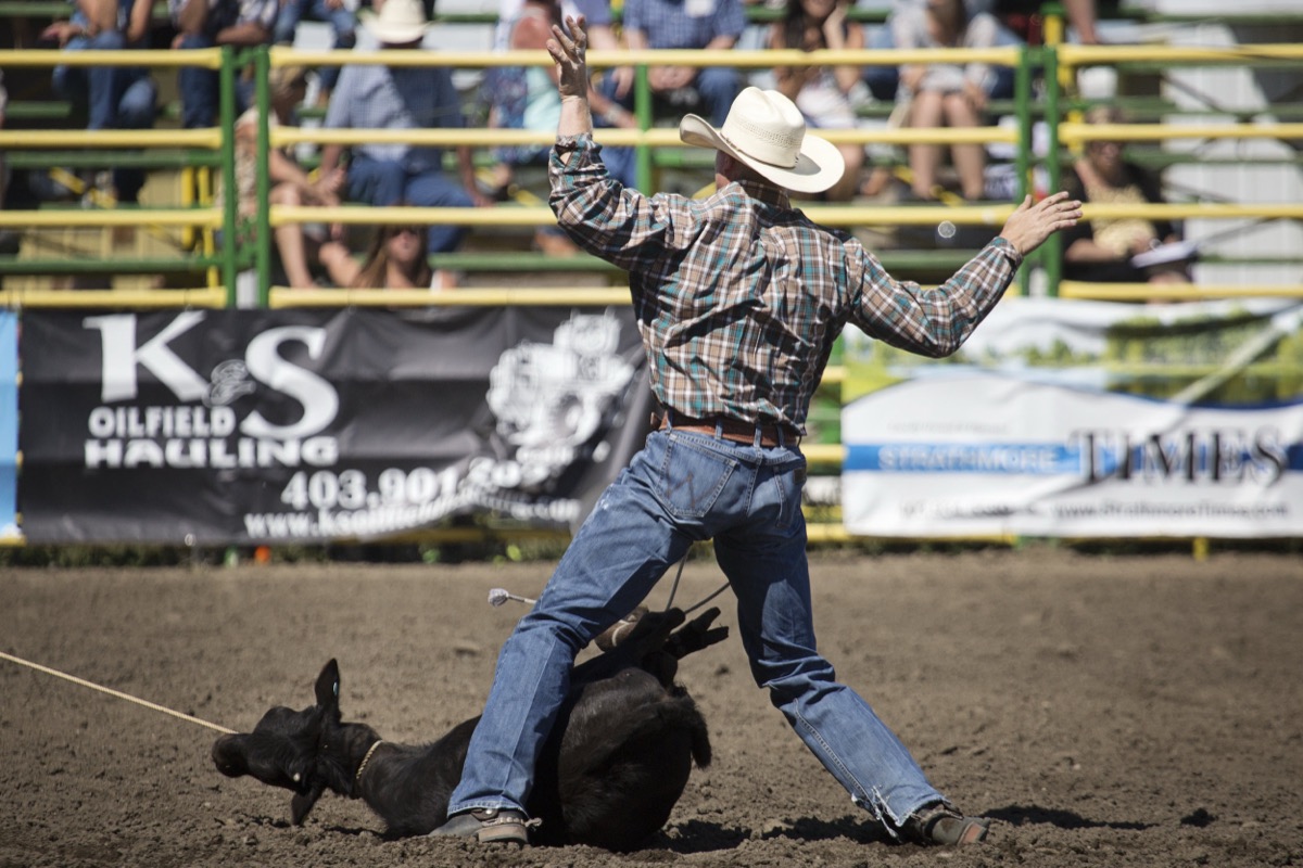 Rodeo photograph 44 by Shauna Kenworthy