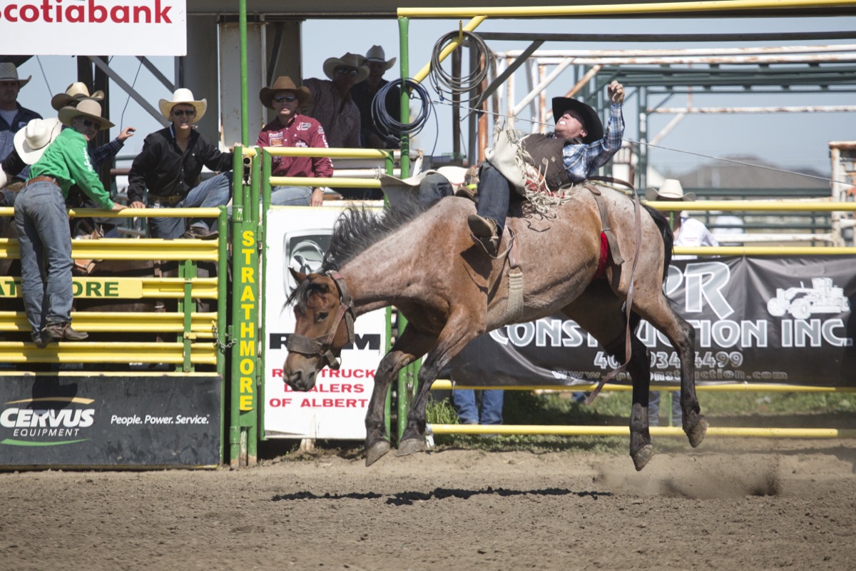 Rodeo photograph 45 by Shauna Kenworthy
