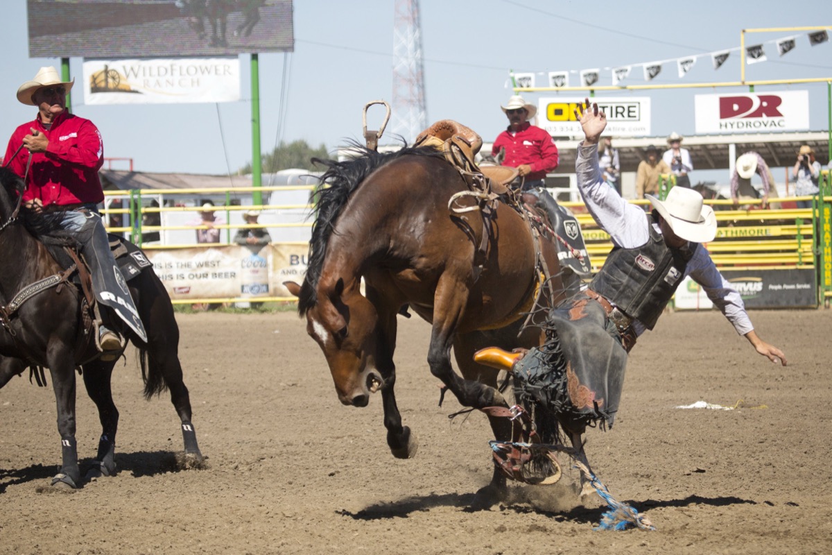 Rodeo photograph 46 by Shauna Kenworthy