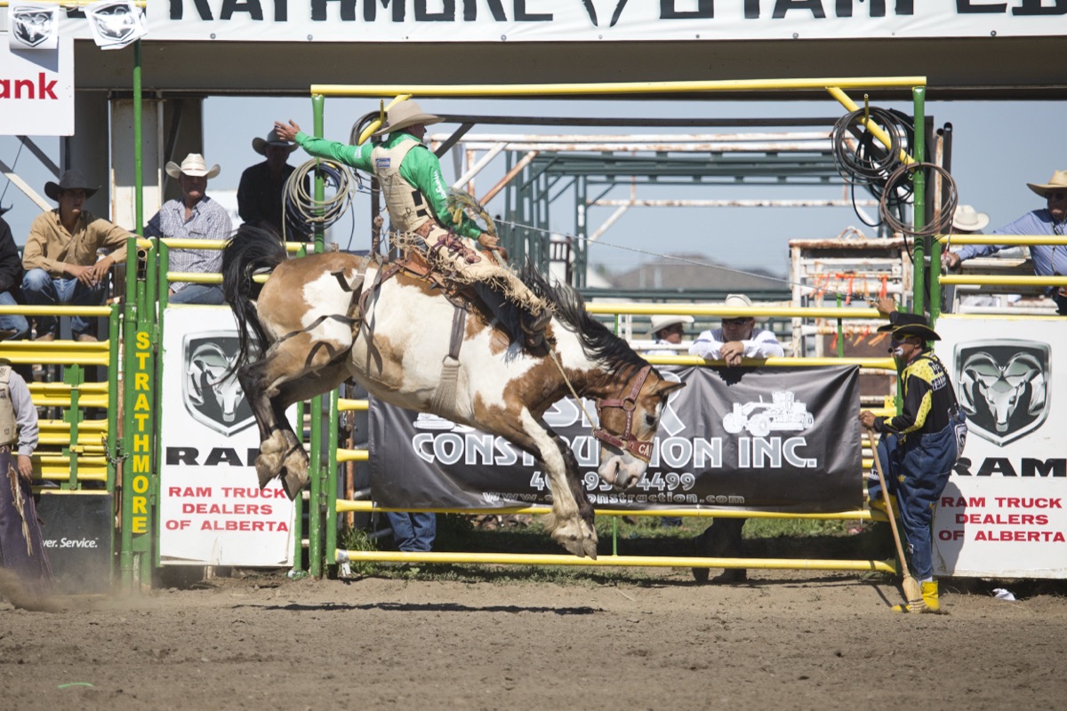 Rodeo photograph 47 by Shauna Kenworthy
