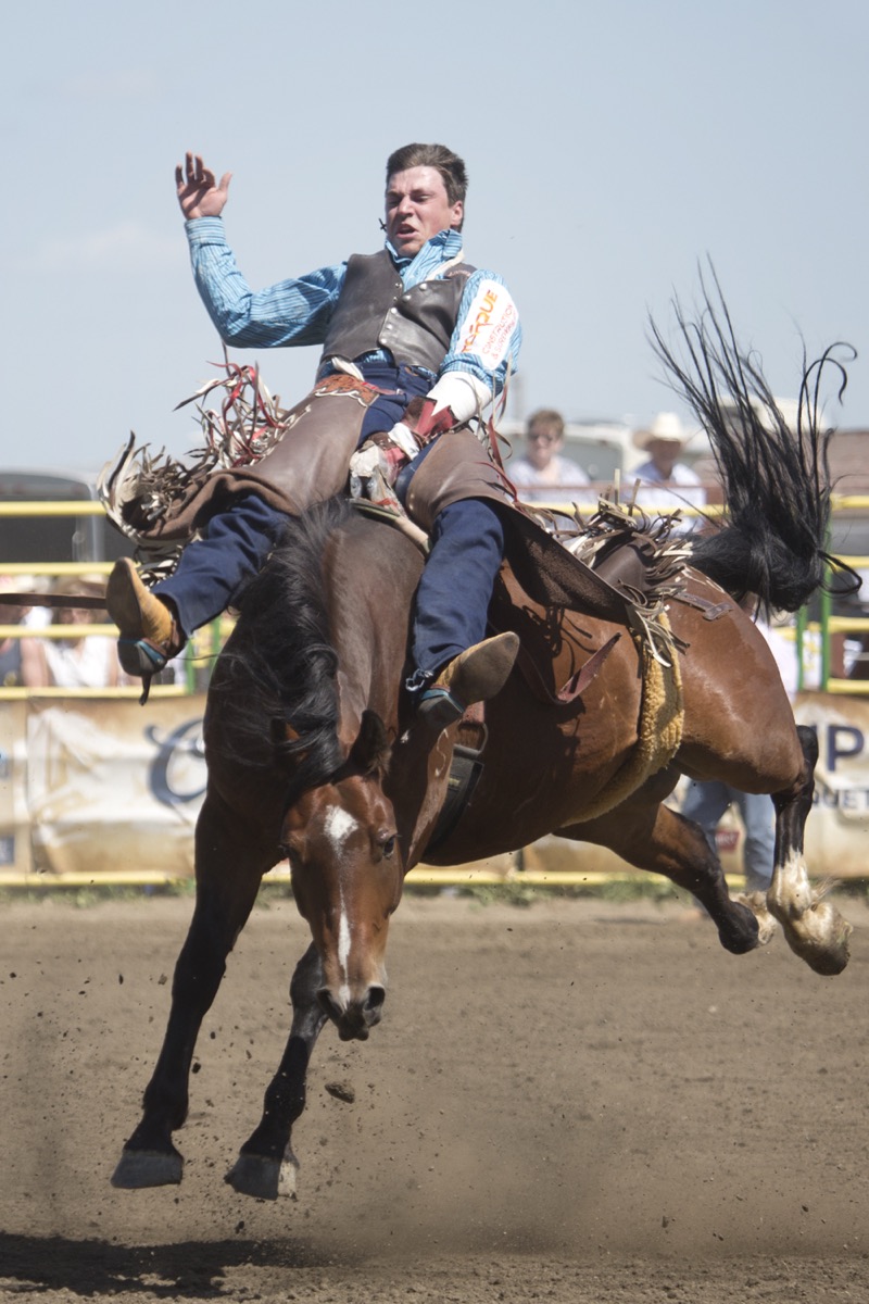 Rodeo photograph 49 by Shauna Kenworthy