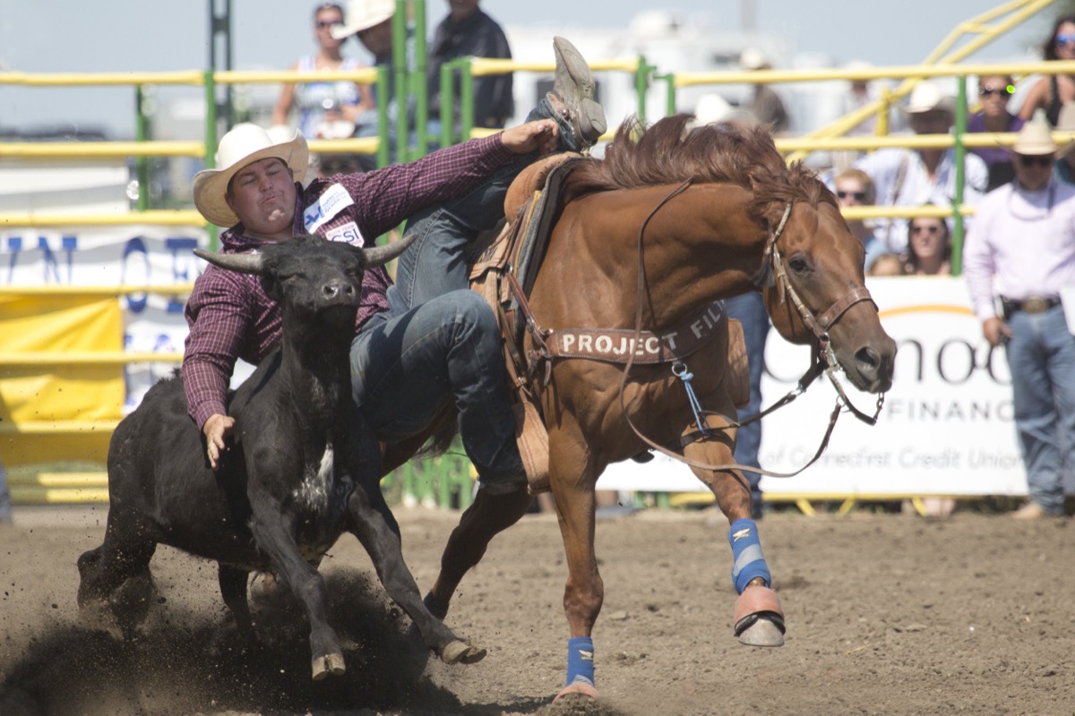 Rodeo photograph 50 by Shauna Kenworthy