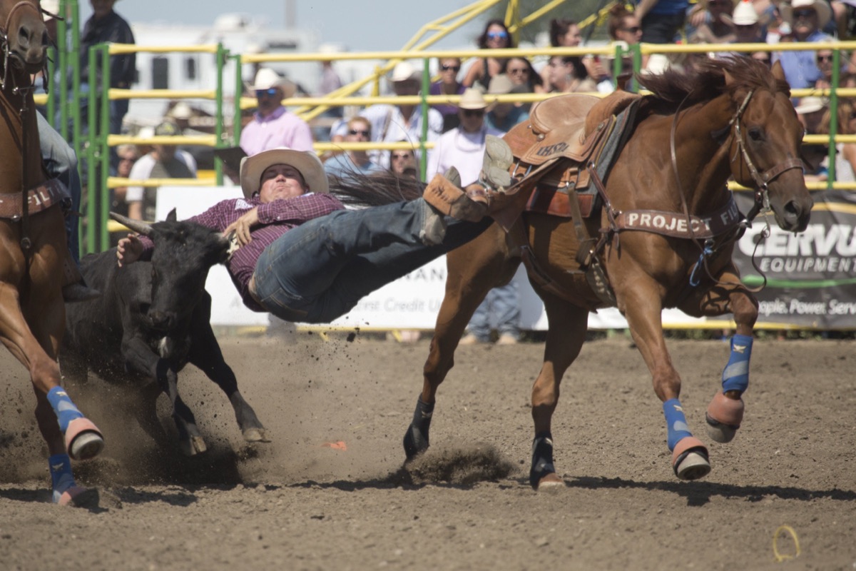 Rodeo photograph 51 by Shauna Kenworthy