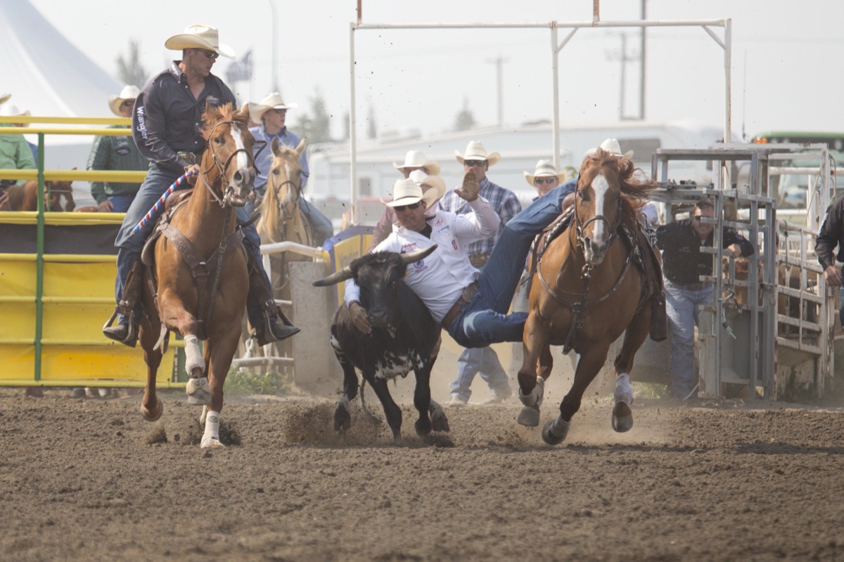 Rodeo photograph 52 by Shauna Kenworthy