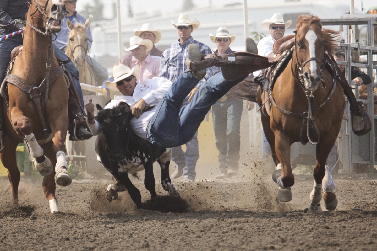 Rodeo photograph 53 by Shauna Kenworthy