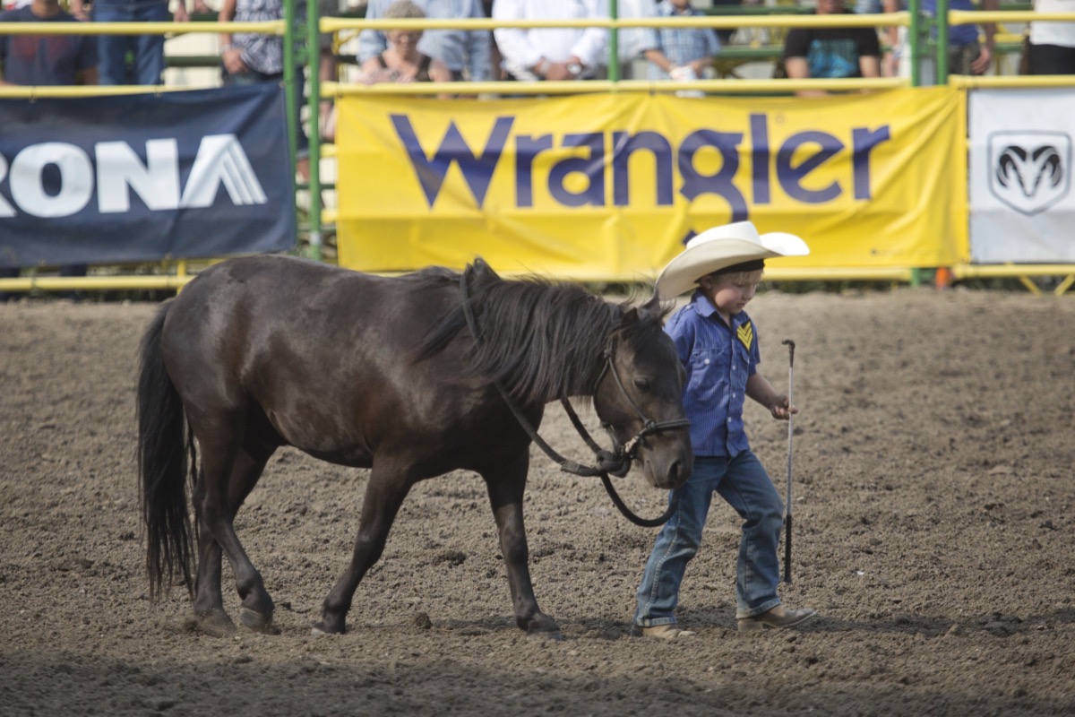 Rodeo photograph 58 by Shauna Kenworthy