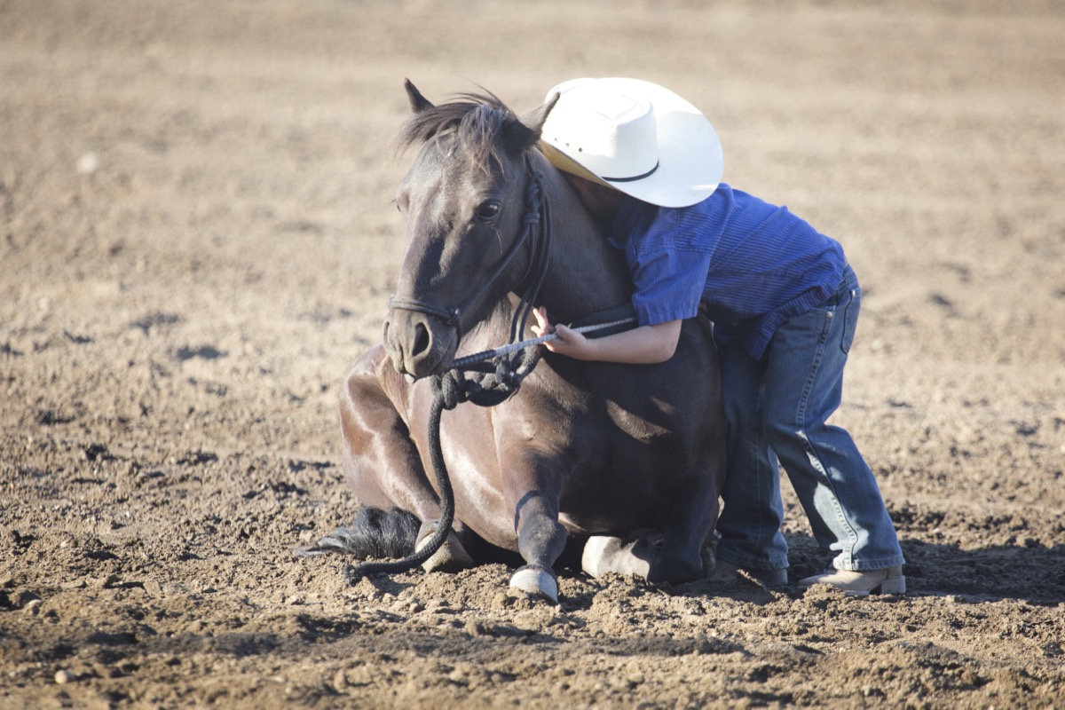 Rodeo photograph 59 by Shauna Kenworthy