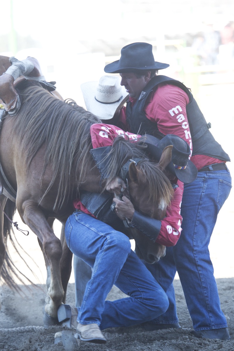 Rodeo photograph 62 by Shauna Kenworthy