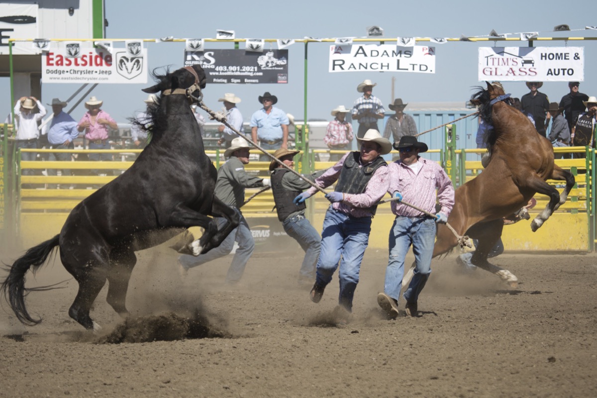 Rodeo photograph 63 by Shauna Kenworthy