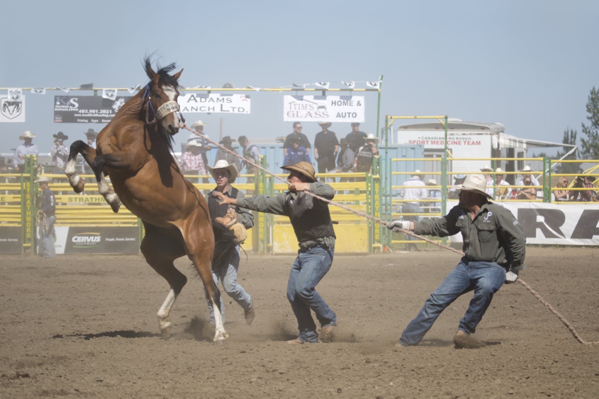 Rodeo photograph 64 by Shauna Kenworthy